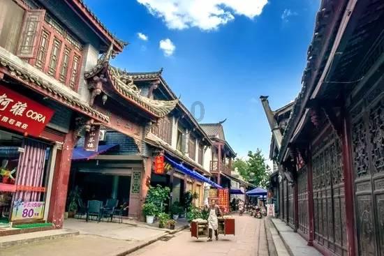 东西协作 山海情深｜青企入陇，跨越山海提升文县农民收入和幸福感